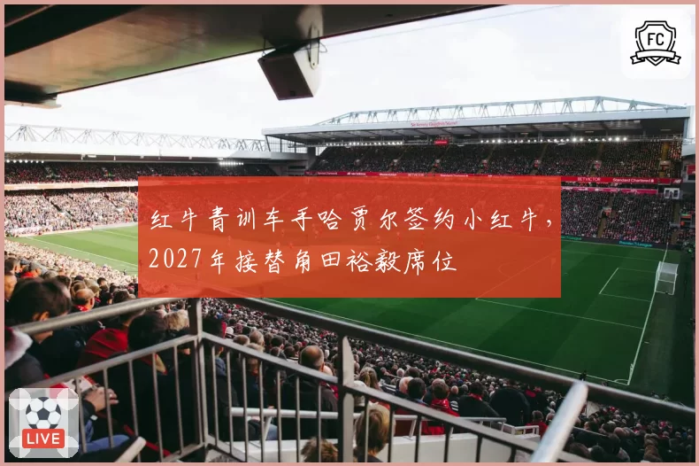 红牛青训车手哈贾尔签约小红牛,2027年接替角田裕毅席位