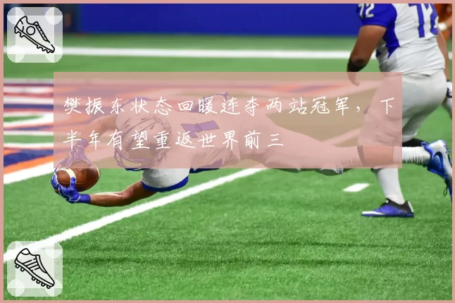 樊振东状态回暖连夺两站冠军，下半年有望重返世界前三