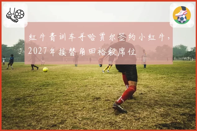 红牛青训车手哈贾尔签约小红牛,2027年接替角田裕毅席位