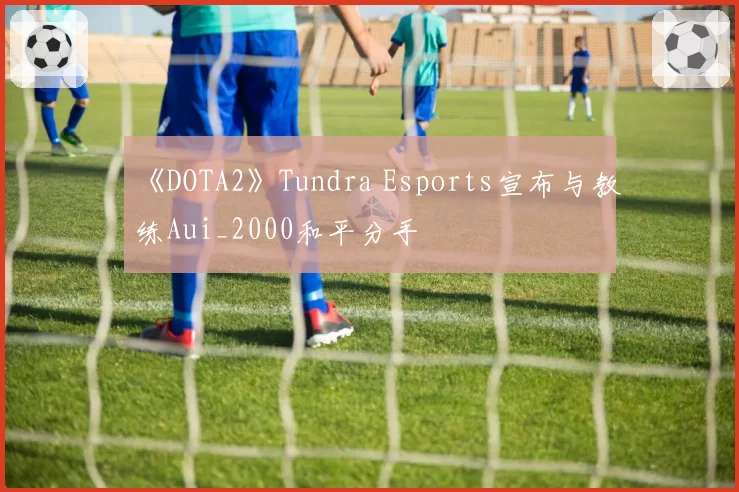 《DOTA2》Tundra Esports宣布与教练Aui_2000和平分手