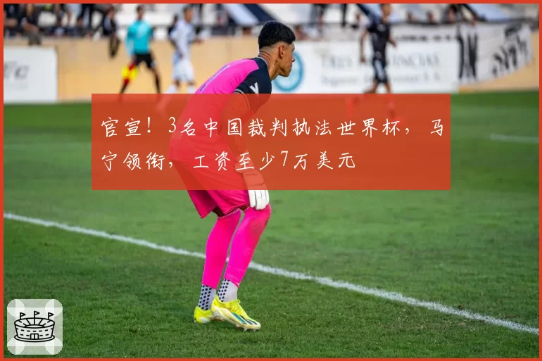 官宣！3名中国裁判执法世界杯，马宁领衔，工资至少7万美元