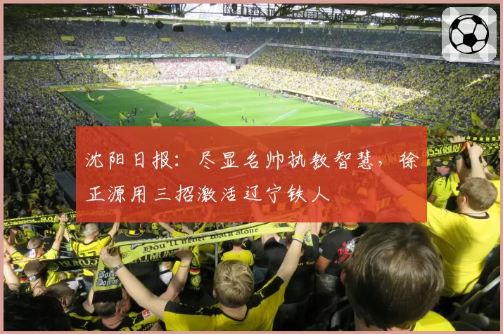 沈阳日报：尽显名帅执教智慧，徐正源用三招激活辽宁铁人
