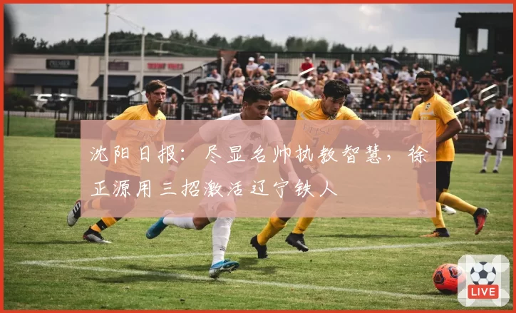 沈阳日报：尽显名帅执教智慧，徐正源用三招激活辽宁铁人